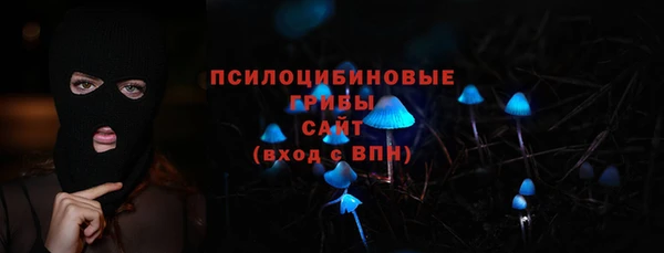 твердый Алексеевка