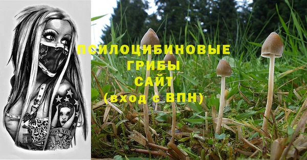 твердый Алексеевка